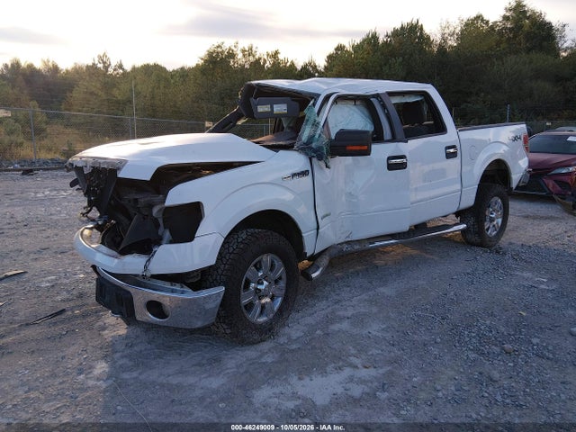 46249009 :رقم المزاد ، 1FTFW1ET8BFC17748 vin ، 2011 Ford F-150 Xlt مزاد بيع