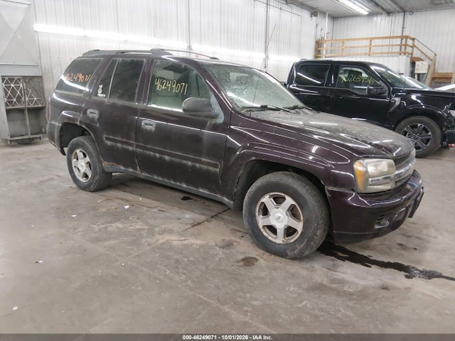 Auction sale of the 2008 Chevrolet Trailblazer Fleet, vin: 1GNDT13S882174594, lot number: 46249071