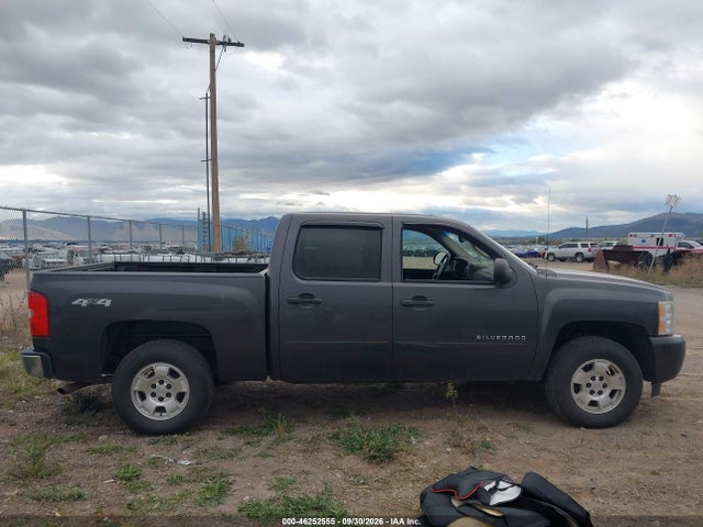 Продаж на аукціоні авто 2010 Chevrolet Silverado 1500 Lt, vin: 3GCRKSE31AG266656, номер лоту: 46252555