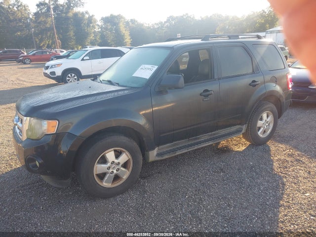 Продажа на аукционе авто 2009 Ford Escape Xlt, vin: 1FMCU03G99KB61678, номер лота: 46253952