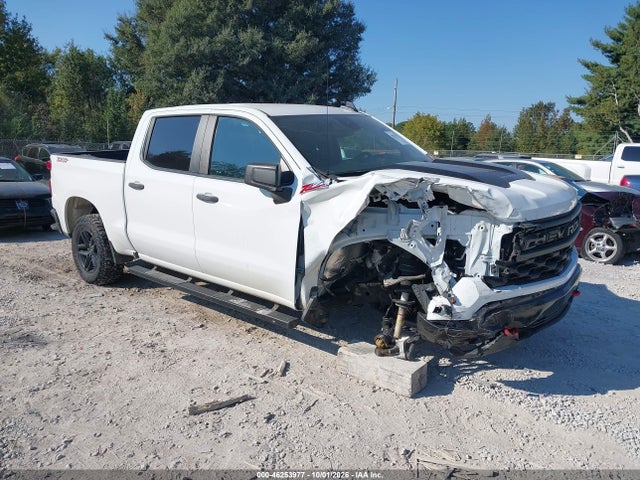 Aukcja sprzedaży 2024 Chevrolet Silverado 1500, vin: 3GCUDCED4RG336374, numer aukcji: 46253977