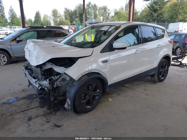 Ford ESCAPE SE 2014 1FMCU0GX2EUD49189 Image 2