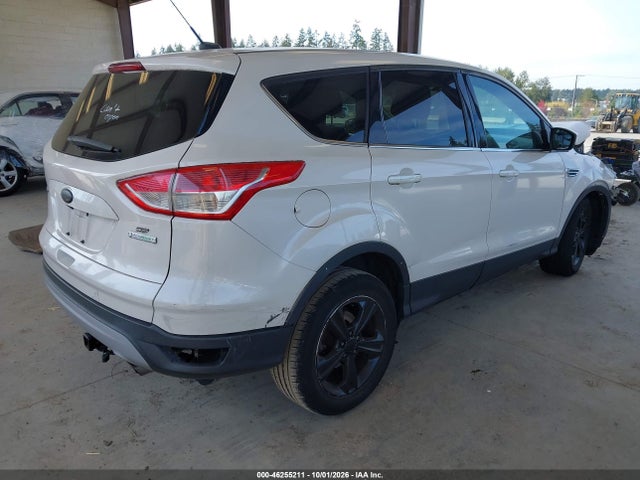 Ford ESCAPE SE 2014 1FMCU0GX2EUD49189 Image 4