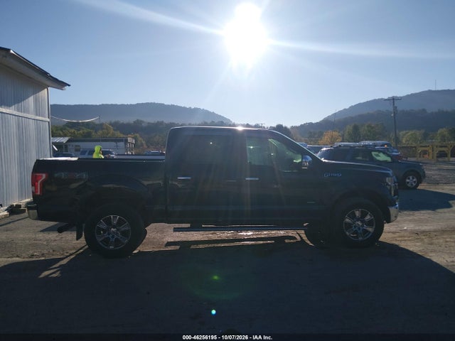 46256195 :رقم المزاد ، 1FTEW1EG5FFC60240 vin ، 2015 Ford F150 Supercrew مزاد بيع