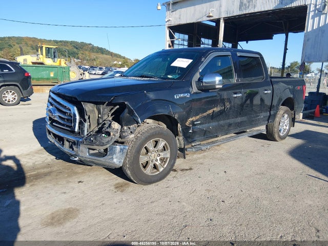 46256195 :رقم المزاد ، 1FTEW1EG5FFC60240 vin ، 2015 Ford F150 Supercrew مزاد بيع