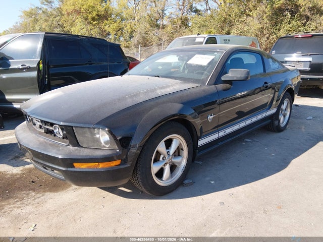 46256490 :رقم المزاد ، 1ZVHT80N495142658 vin ، 2009 Ford Mustang V6/v6 Premium مزاد بيع