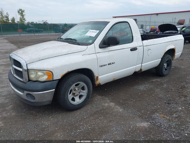 2003 Dodge Ram 1500 St მანქანა იყიდება აუქციონზე, vin: 1D7HA16K23J547399, აუქციონის ნომერი: 46256560