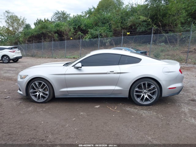 46256676 :رقم المزاد ، 1FA6P8THXF5391200 vin ، 2015 Ford Mustang Ecoboost مزاد بيع