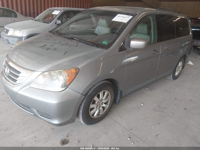 Продажа на аукционе авто 2009 Honda Odyssey Ex-l, vin: 5FNRL38789B034395, номер лота: 46256813