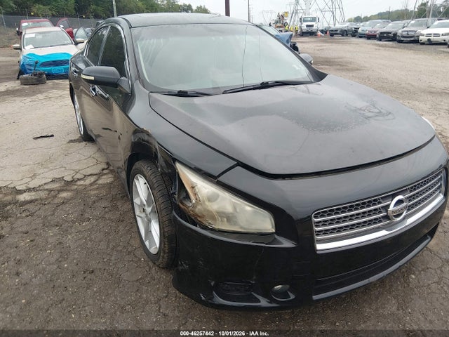 46257442 :رقم المزاد ، 1N4AA5AP6AC820857 vin ، 2010 Nissan Maxima 3.5 Sv مزاد بيع