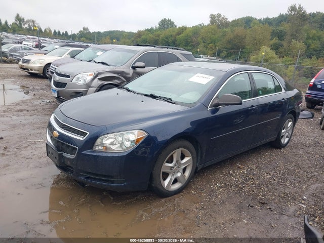 46258893 :رقم المزاد ، 1G1ZB5EB6AF183596 vin ، 2010 Chevrolet Malibu Ls مزاد بيع