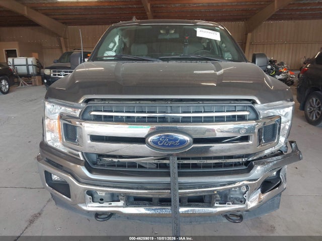 46259019 :رقم المزاد ، 1FTEW1E40KKD00604 vin ، 2019 Ford F-150 Xlt مزاد بيع