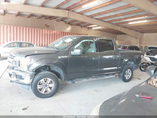 46259019 :رقم المزاد ، 1FTEW1E40KKD00604 vin ، 2019 Ford F-150 Xlt مزاد بيع
