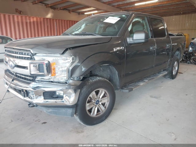 46259019 :رقم المزاد ، 1FTEW1E40KKD00604 vin ، 2019 Ford F-150 Xlt مزاد بيع