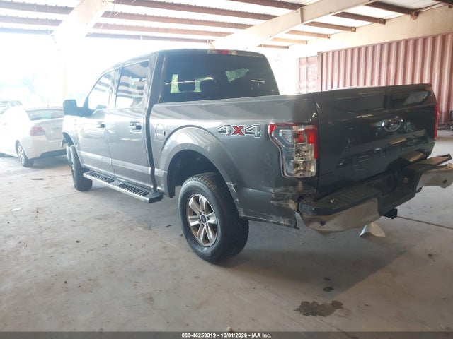 46259019 :رقم المزاد ، 1FTEW1E40KKD00604 vin ، 2019 Ford F-150 Xlt مزاد بيع