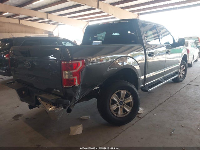 46259019 :رقم المزاد ، 1FTEW1E40KKD00604 vin ، 2019 Ford F-150 Xlt مزاد بيع