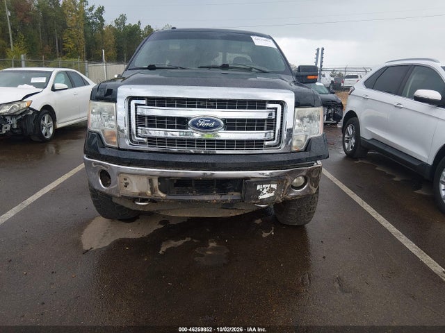 Продажа на аукционе авто 2014 Ford F-150 Xlt, vin: 1FTFW1ETXEKE21320, номер лота: 46259852