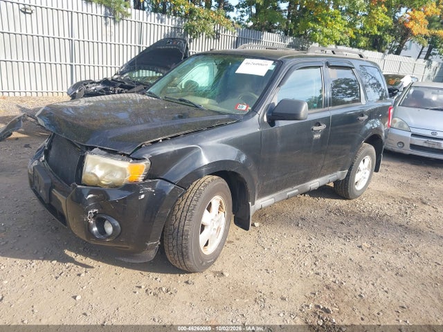 Продажа на аукционе авто 2010 Ford Escape Xlt, vin: 1FMCU9DG6AKD41398, номер лота: 46260069