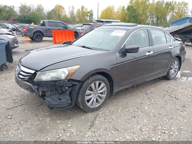 46260763 :رقم المزاد ، 1HGCP3F87BA005203 vin ، 2011 Honda Accord 3.5 Ex-l مزاد بيع