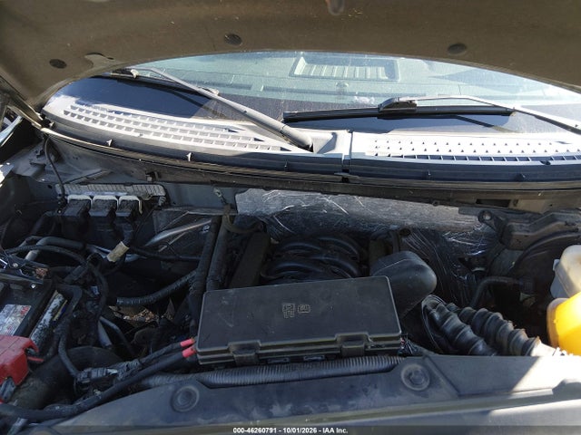 46260791 :رقم المزاد ، 1FTFX1EF3EFB75291 vin ، 2014 Ford F-150 Xlt مزاد بيع