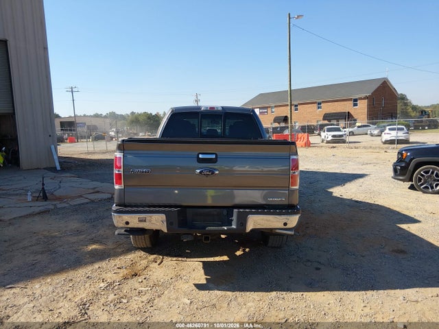46260791 :رقم المزاد ، 1FTFX1EF3EFB75291 vin ، 2014 Ford F-150 Xlt مزاد بيع