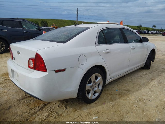 46261984 :رقم المزاد ، 1G1ZB5E10BF156497 vin ، 2011 Chevrolet Malibu Ls مزاد بيع