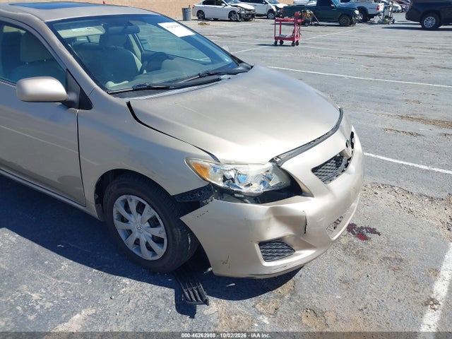46262980 :رقم المزاد ، 1NXBU4EE9AZ174504 vin ، 2010 Toyota Corolla Le مزاد بيع