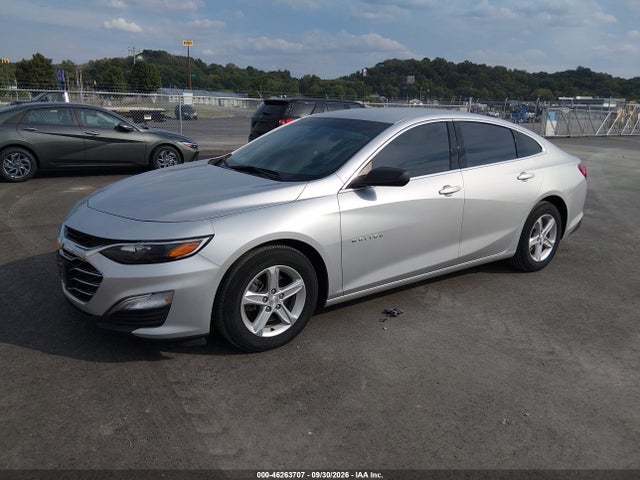 46263707 :رقم المزاد ، 1G1ZC5ST1KF208402 vin ، 2019 Chevrolet Malibu 1fl مزاد بيع