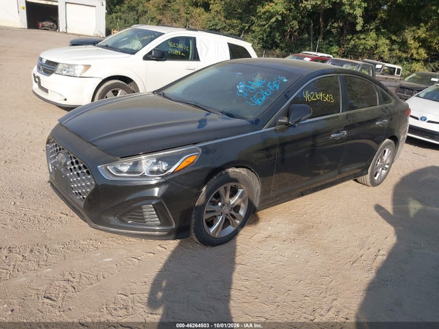 Продажа на аукционе авто 2019 Hyundai Sonata Sel, vin: 5NPE34AF4KH785068, номер лота: 46264503
