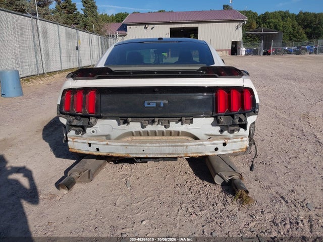 46264510 :رقم المزاد ، 1FA6P8CF5H5308189 vin ، 2017 Ford Mustang Gt Premium مزاد بيع