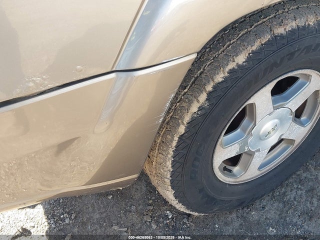46265063 :رقم المزاد ، 1GNDT13S662219691 vin ، 2006 Chevrolet Trailblazer Ls مزاد بيع