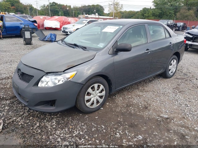 46265215 :رقم المزاد ، 2T1BU40E59C135347 vin ، 2009 Toyota Corolla Le مزاد بيع