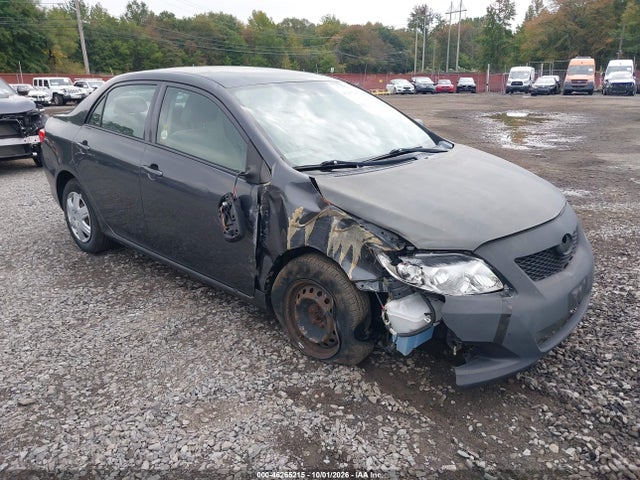 46265215 :رقم المزاد ، 2T1BU40E59C135347 vin ، 2009 Toyota Corolla Le مزاد بيع