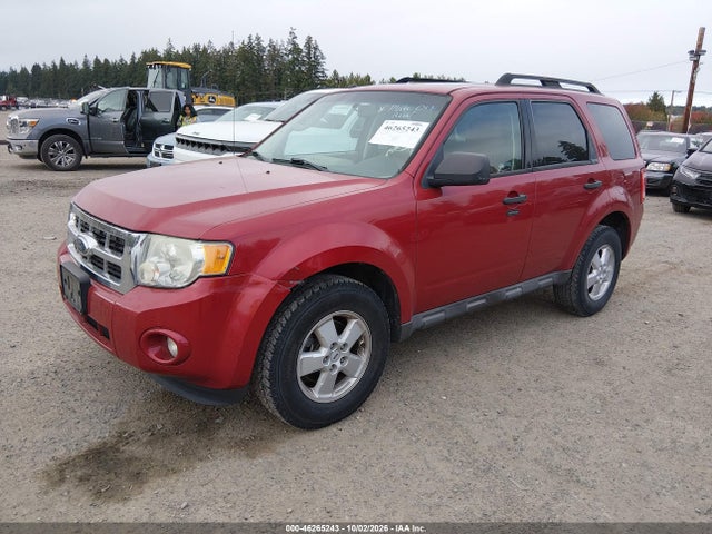 2009 Ford Escape Xlt მანქანა იყიდება აუქციონზე, vin: 1FMCU93G89KB96104, აუქციონის ნომერი: 46265243