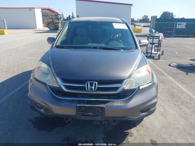 46265905 :رقم المزاد ، 5J6RE4H79AL049760 vin ، 2010 Honda Cr-v Ex-l مزاد بيع