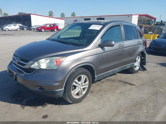 46265905 :رقم المزاد ، 5J6RE4H79AL049760 vin ، 2010 Honda Cr-v Ex-l مزاد بيع