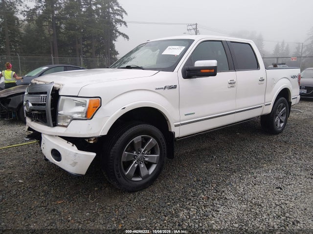 2011 Ford F-150 Platinum მანქანა იყიდება აუქციონზე, vin: 1FTFW1ET1BFC24461, აუქციონის ნომერი: 46266223