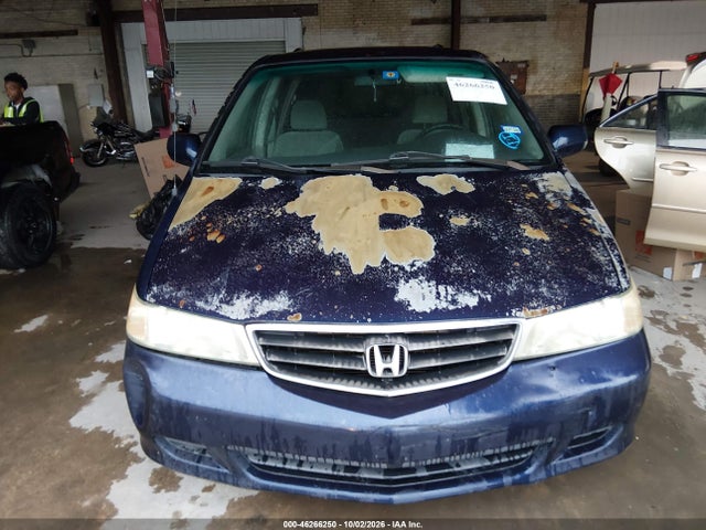 46266250 :رقم المزاد ، 5FNRL18844B117215 vin ، 2004 Honda Odyssey Ex مزاد بيع