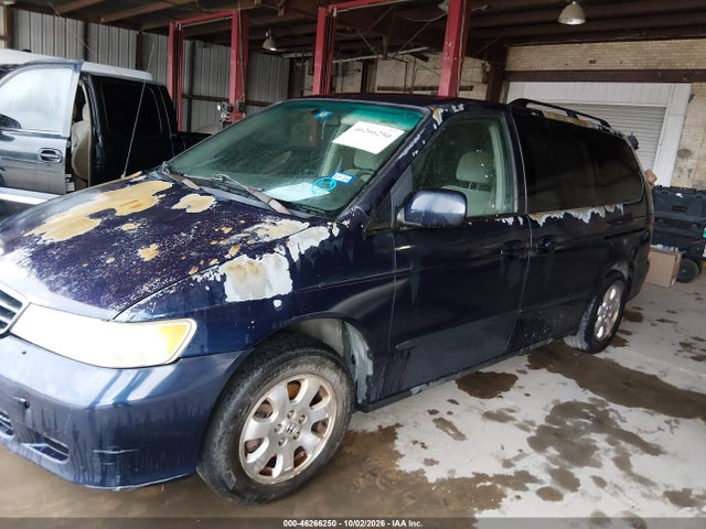 46266250 :رقم المزاد ، 5FNRL18844B117215 vin ، 2004 Honda Odyssey Ex مزاد بيع