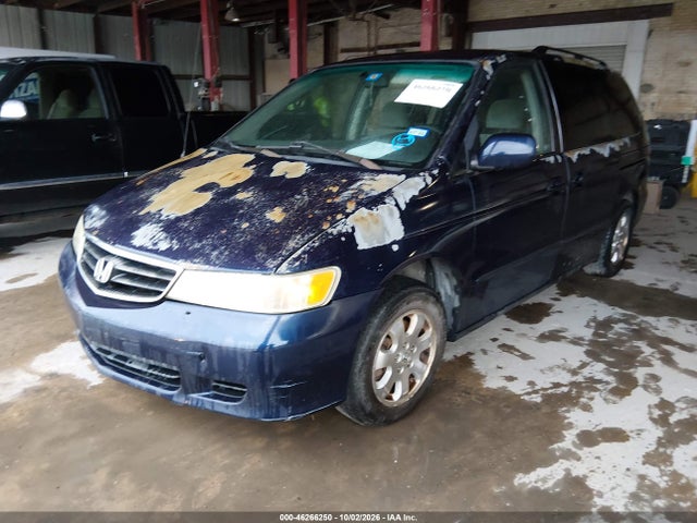 46266250 :رقم المزاد ، 5FNRL18844B117215 vin ، 2004 Honda Odyssey Ex مزاد بيع