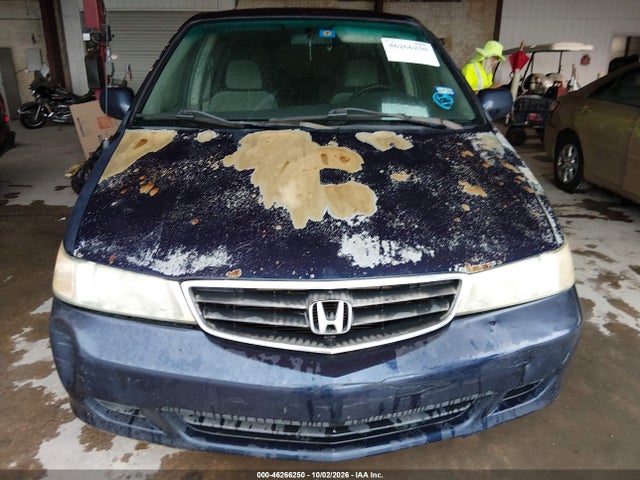 46266250 :رقم المزاد ، 5FNRL18844B117215 vin ، 2004 Honda Odyssey Ex مزاد بيع