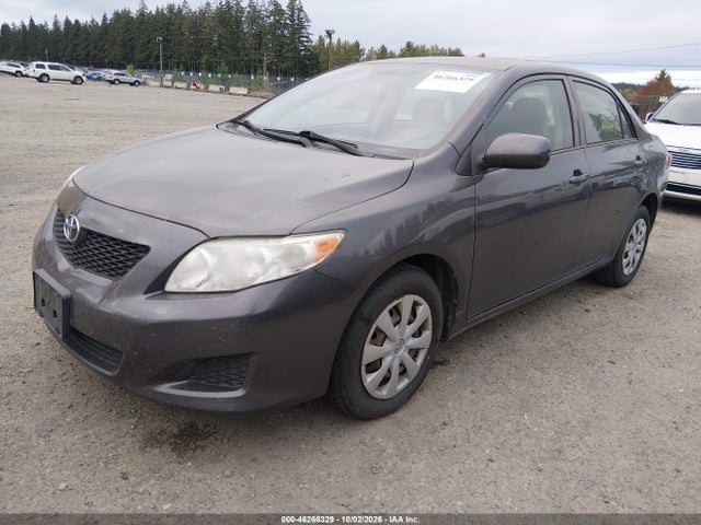 46266329 :رقم المزاد ، JTDBU4EEXAJ080976 vin ، 2010 Toyota Corolla Le مزاد بيع