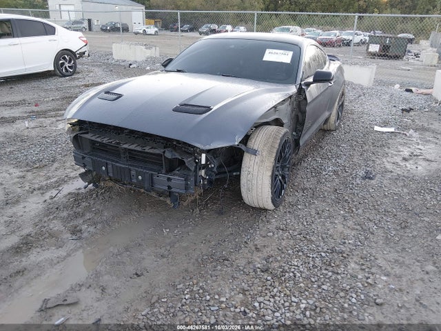 Продажа на аукционе авто 2021 Ford Mustang Gt Fastback, vin: 1FA6P8CF8M5125900, номер лота: 46267581