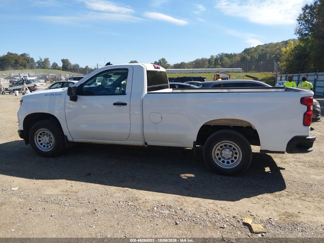 46269203 :رقم المزاد ، 3GCNAAEDXSG242300 vin ، 2025 Chevrolet Silverado 1500 2wd  Long Bed Wt مزاد بيع