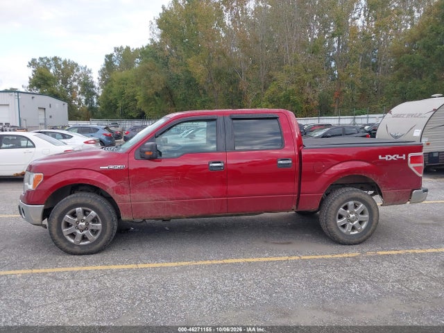 Продаж на аукціоні авто 2014 Ford F-150 Xlt, vin: 1FTFW1EFXEFA83792, номер лоту: 46271155