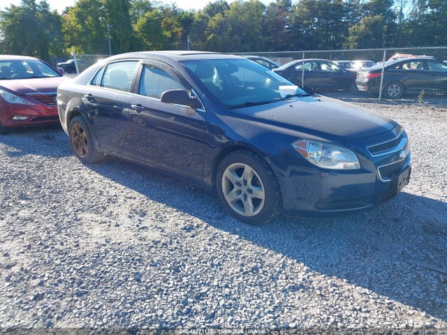 46271172 :رقم المزاد ، 1G1ZB5E18BF327464 vin ، 2011 Chevrolet Malibu Ls مزاد بيع
