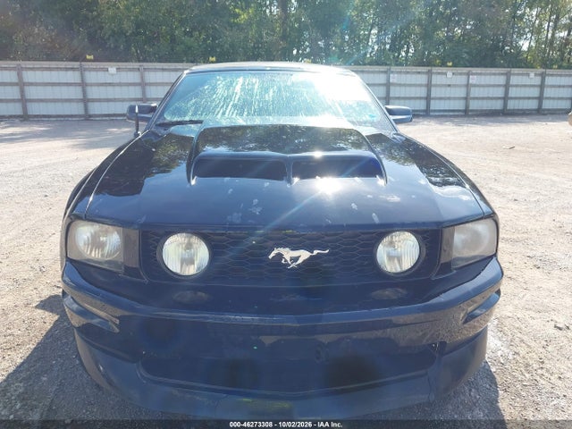 2007 Ford Mustang Gt Deluxe/gt Premium მანქანა იყიდება აუქციონზე, vin: 1ZVHT85H575255034, აუქციონის ნომერი: 46273308