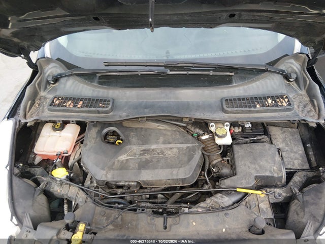 Ford ESCAPE SE 2014 1FMCU0GX1EUE50501 Image 10