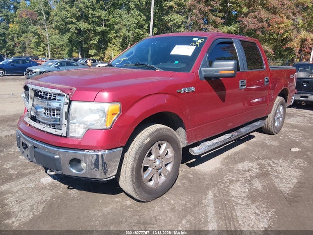Продажа на аукционе авто 2013 Ford F-150 Xlt, vin: 1FTFW1EF6DKD12393, номер лота: 46277767