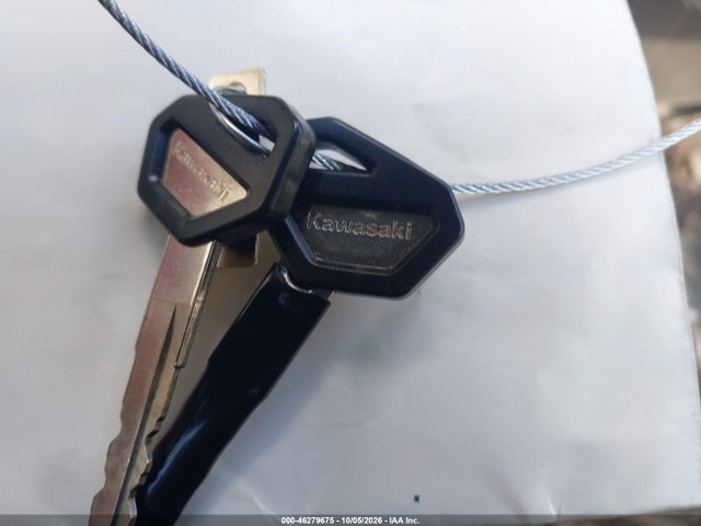 Kawasaki Klx300 F 2024 ML5LXBF19RDA33473 Image 11